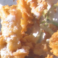 Gebäck aus Hollunderblueten goldgelb und lecker Gebäck aus Hollunderblueten