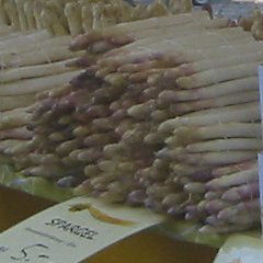 Spargel in allen Farben und Formen Spargel violett