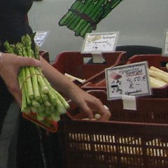 Spargeleinkauf auf dem Harlachinger Bauernmarkt Grünspargel